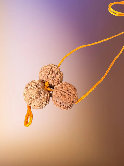 Rudraksha Saraswathy Kawach