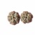 Panchamukhi Rudraksha Water Therapy