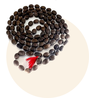 lotus seed mala